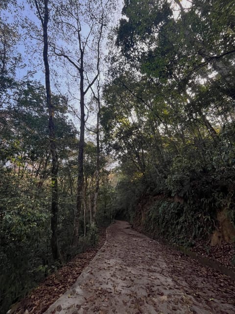 From Kathmandu: Shivapuri Nagarjun–Bagdwar Guided Hike photo 3