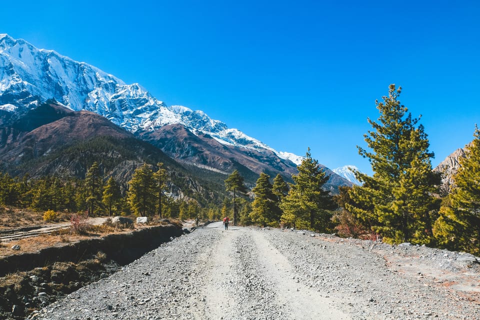 From Kathmandu: Manaslu Circuit Trek with Guide photo 3