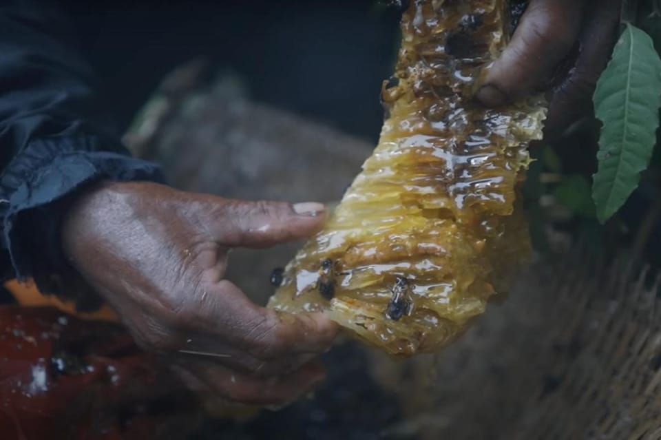 Mad Honey Hunting Tour in Nepal - 4 Days photo 2