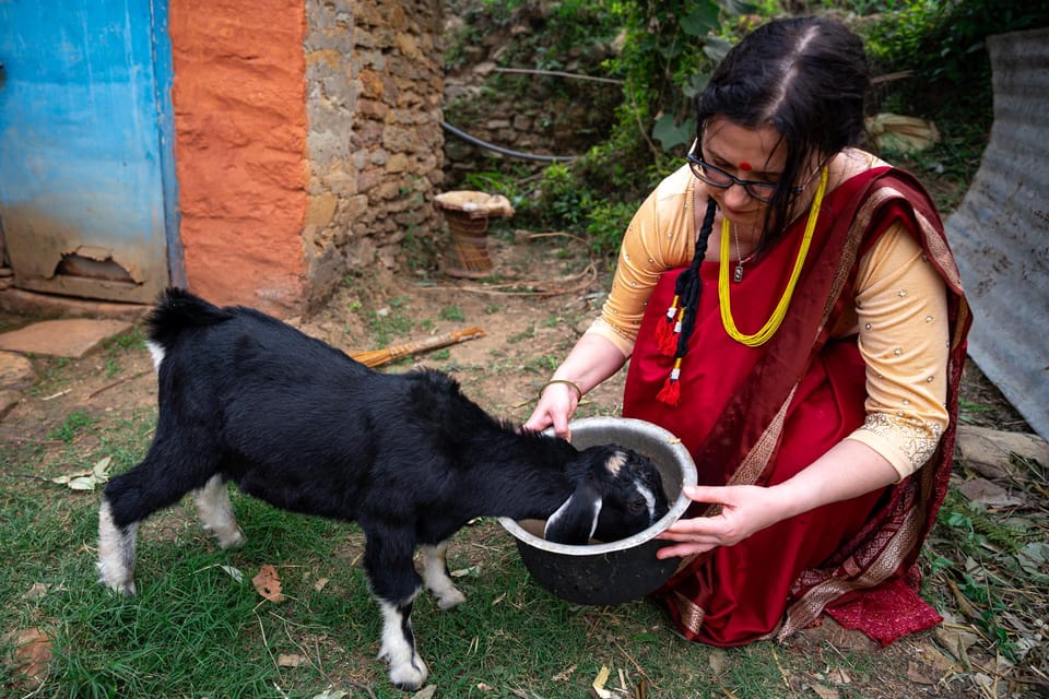 From Pokhara: 8-Day Annapurna Base Camp Trek with Homestay photo 5