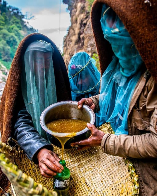 From Kathmandu: 4-Day Annapurna Honey Hunting Tour photo 3