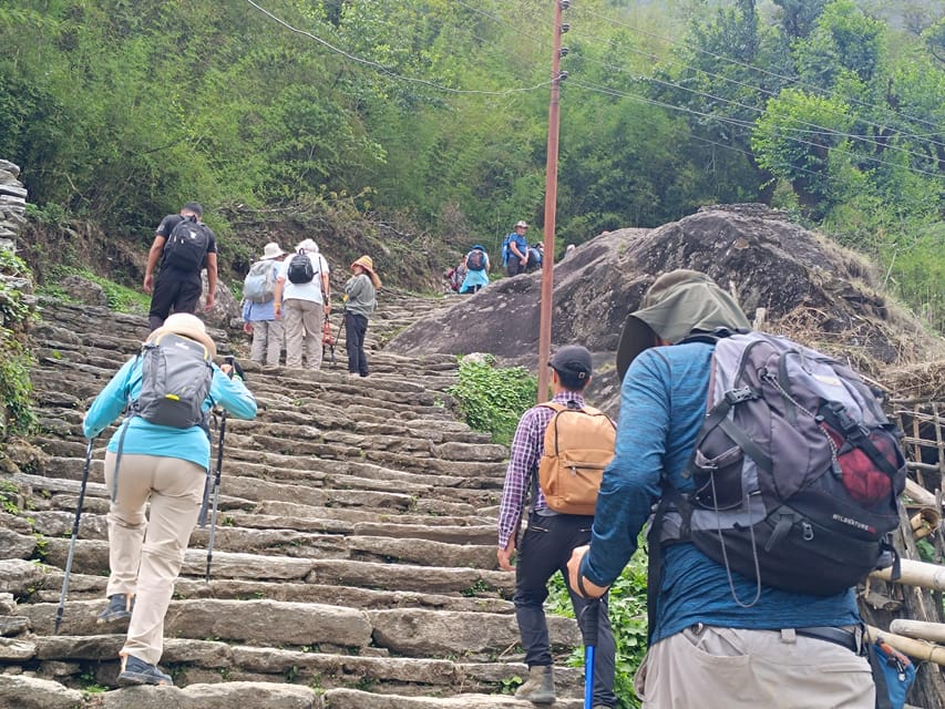 From Pokhara: 5-Day Poon Hill Trek with Barang Homestay photo 3