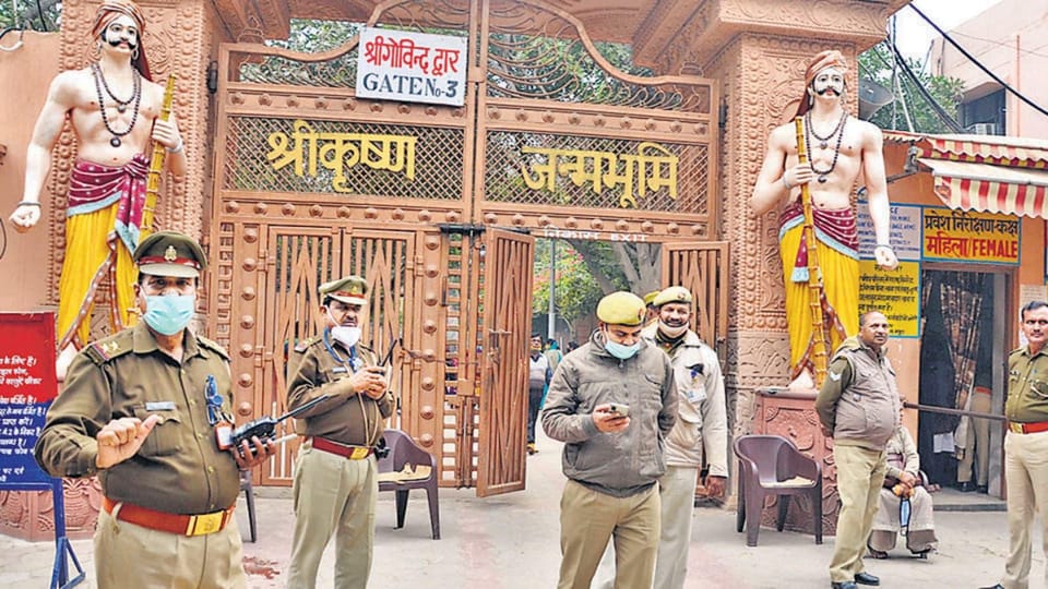 From Delhi: Private Taj Mahal Tour with Mathura & Vrindavan photo 5
