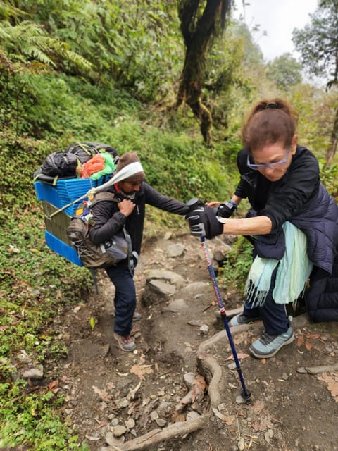 Pokhara: 4-Day Poon Hill Trekking Tour with Culture photo 4