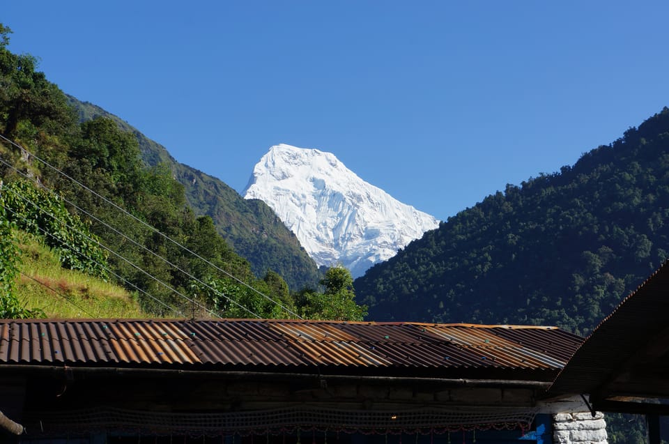 Mountain Flight , Jungle Safari, & Paragliding Tour photo 3
