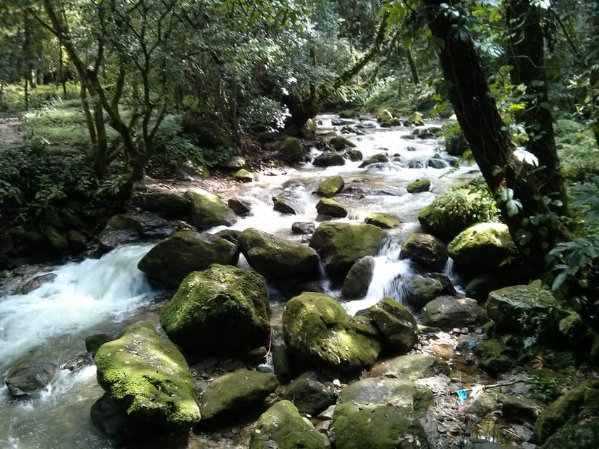 Kathmandu: Chisapani Nagarkot 3-Days 2-Nights Trek photo 3