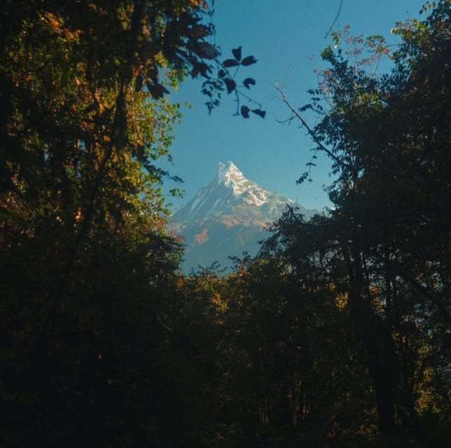 Pokhara: Annapurna Base Camp Trek with Meals and Guide-Nepal photo 3