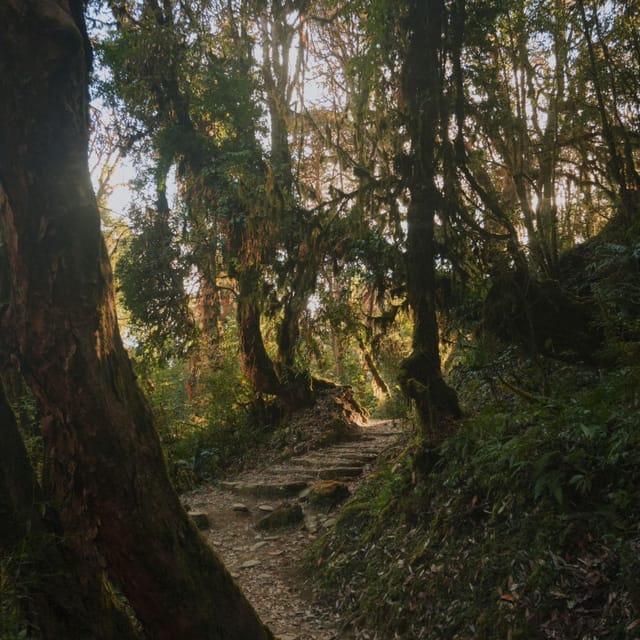 Pokhara: Annapurna Base Camp Trek with Meals and Guide-Nepal photo 5