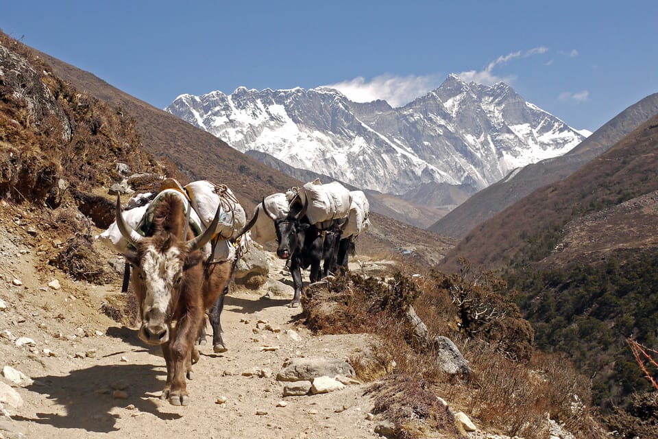 Everest Base Camp Trek from Jiri – 21 Days photo 4