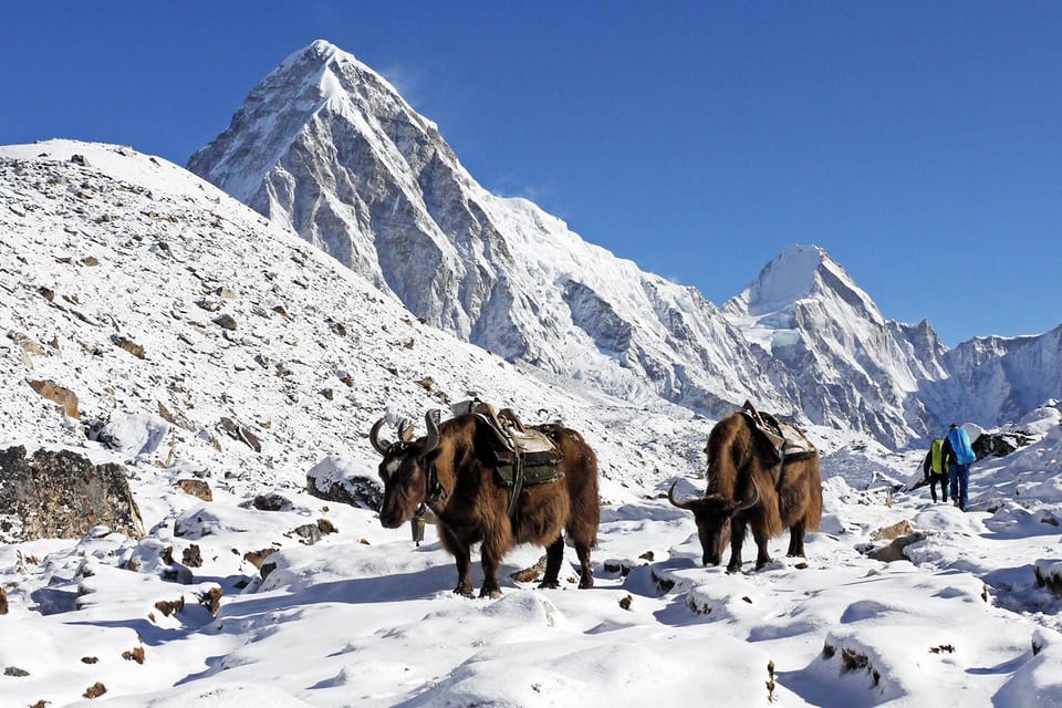 Everest view trek- 15 Days photo 5