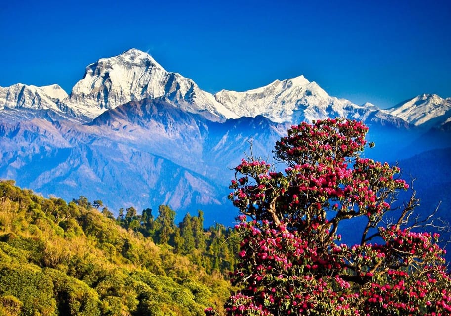 Sundarijal-Chisapani-Nagarkot Trek with Changunarayan photo 5