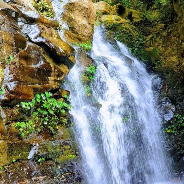 From Kathmandu: 5-Day Chisapani to Nagarkot Trek photo 5