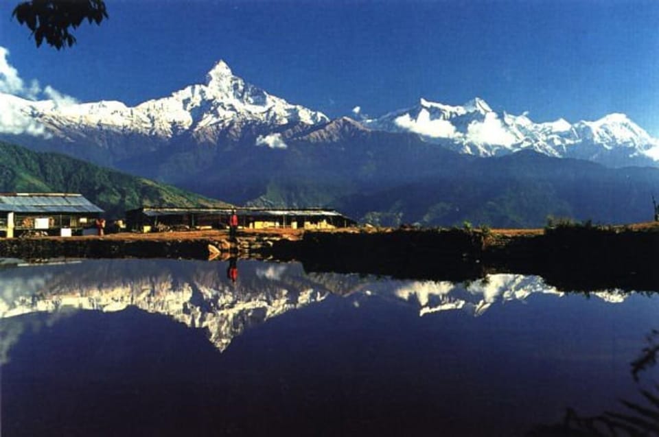 From Pokhara: 3 Day Dhampus-Sarangkot Trek photo 3