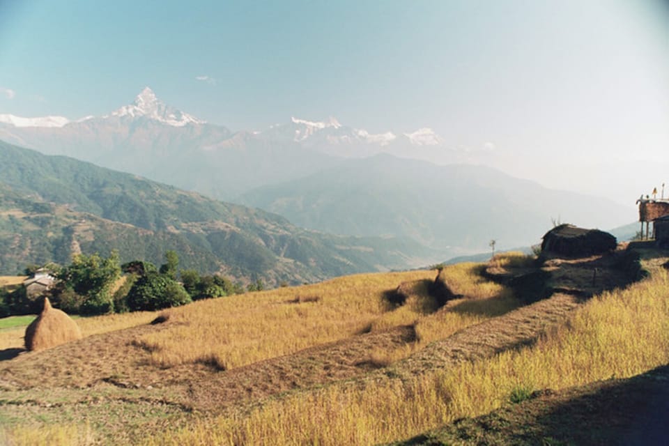 From Pokhara: 3 Day Dhampus-Sarangkot Trek photo 4