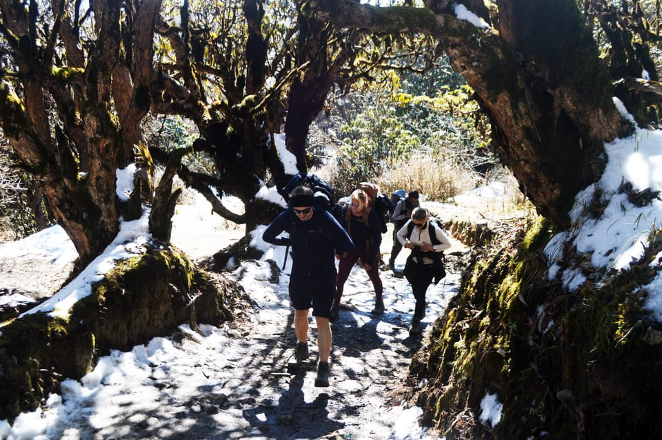 Kathmandu/Pokhara: 4-Day Mardi Base Camp (MBC) Trek photo 5