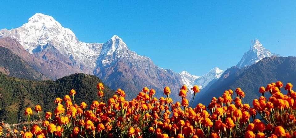 Pokhara: 4-Day Ghorepani, Poonhill & Ghandruk Mountain Trek photo 4