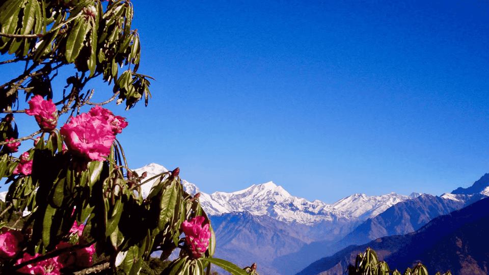 Pokhara: 2-Day Ullerai, Ghorepani & Poon Hill - Sunrise Trek photo 4