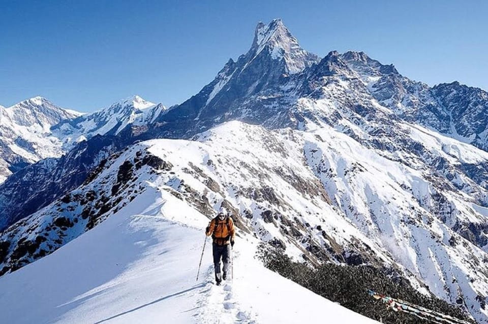 From Pokhara: 5-Day Mardi Himal Base Camp Trek photo 5