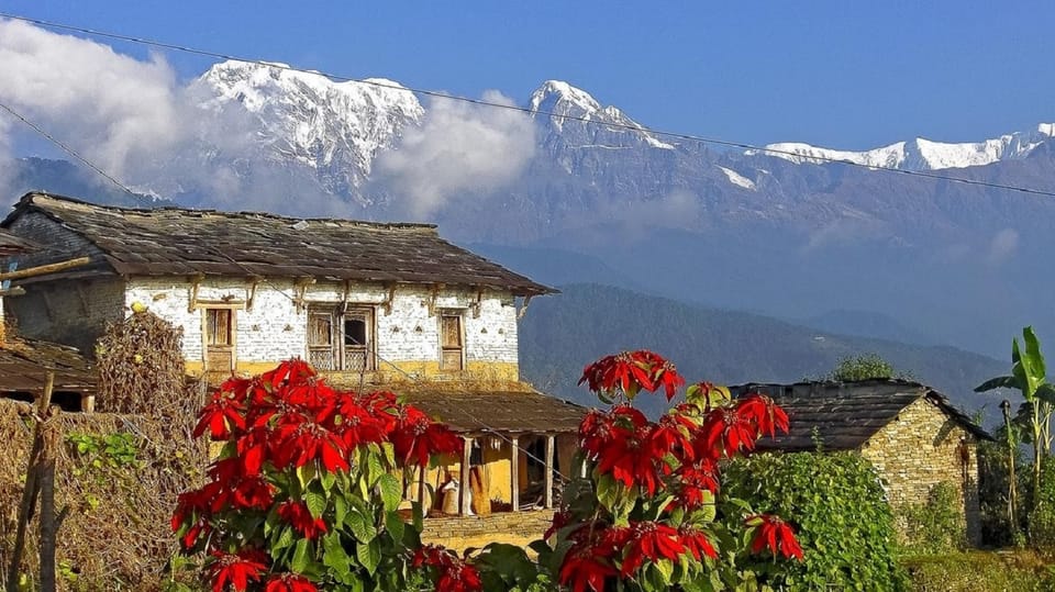 Pokhara: Annapurna Day Hike with Panoramic Views photo 2