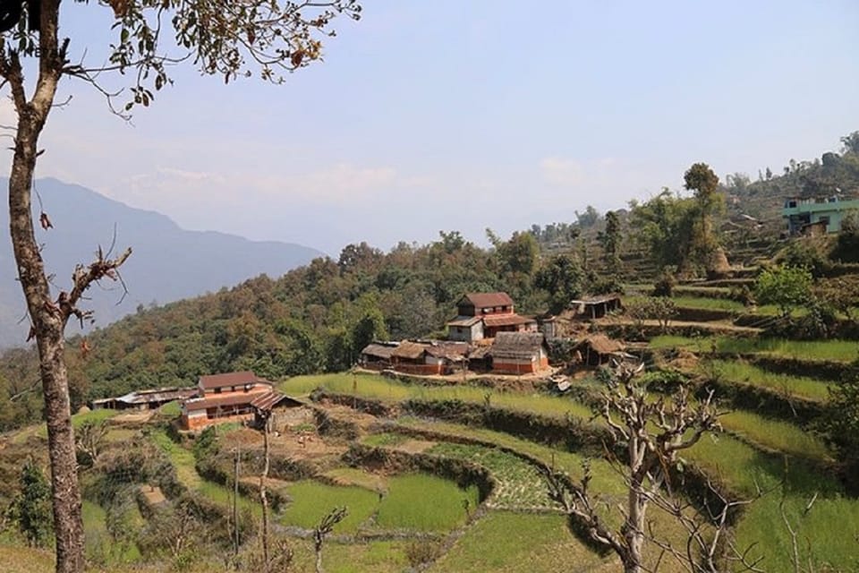 Pokhara: Annapurna Day Hike with Panoramic Views photo 3