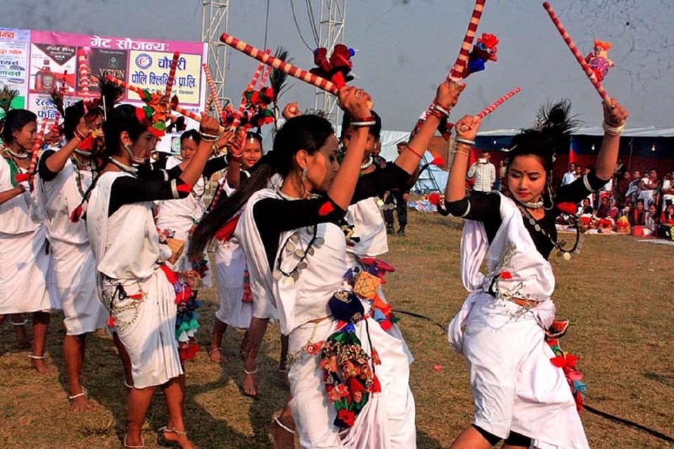3-Day Chitwan Jungle Safari Adventure From Kathmandu/Pokhara photo 4