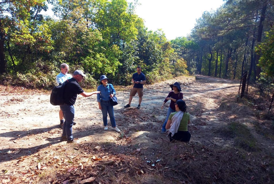 From Kathmandu: 3-Day Chisapani-Nagarkot Trek & Bhaktapur photo 3
