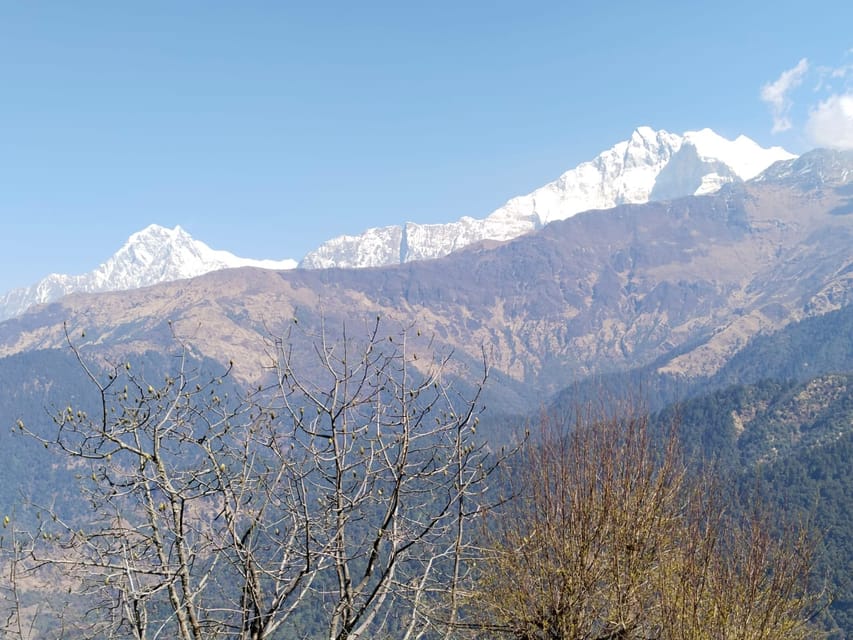 From Pokhara: 4-Day Annapurna and Poon Hill Himalayan Trek photo 2