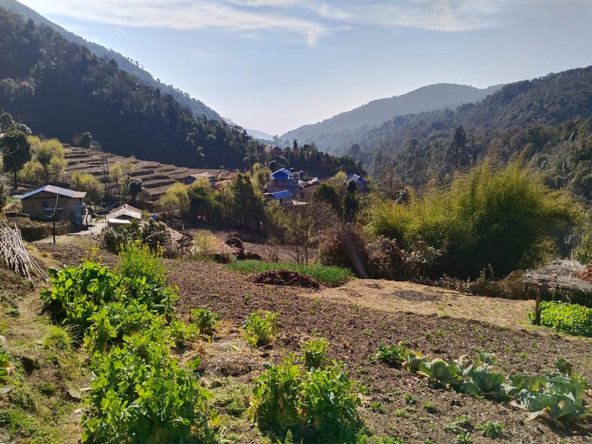 From Pokhara: 4-Day Annapurna and Poon Hill Himalayan Trek photo 4