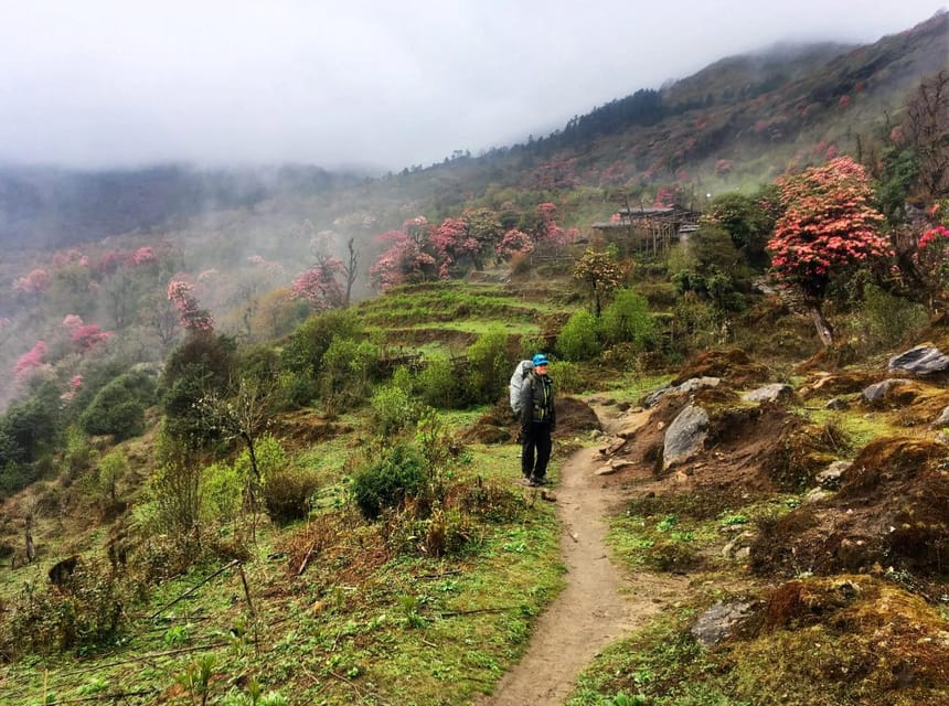 From Lukla: 10-Day Guided Trek to Everest Base Camp Trek photo 5
