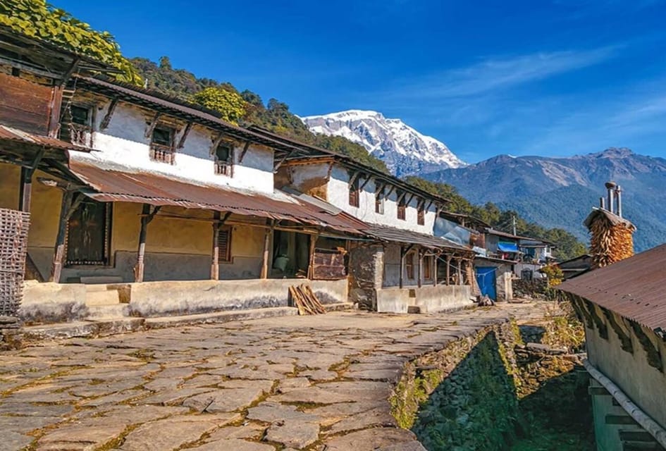 Pokhara: 7 Day Annapurna Base Camp Trek photo 4