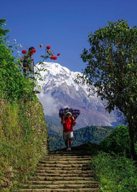 Pokhara: Day Hike at Annapurna Mountain Foothills photo 3