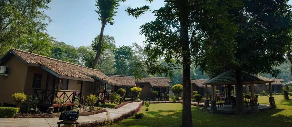 From Kathmandu/Pokhara: Private 3-Day Chitwan Safari Tour photo 4