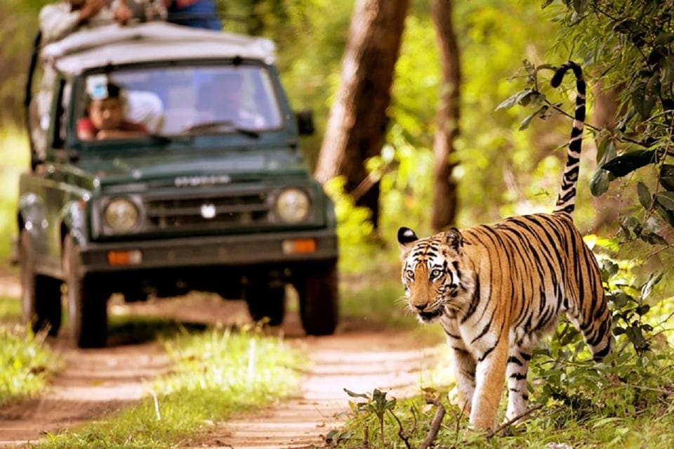 From Kathmandu: 3-Day Chitwan National Park Tour photo 4