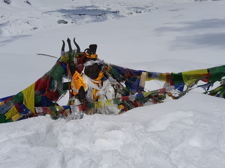 From Pokhara: Private 5-Day AnnapurnaBasecamp Trek photo 5