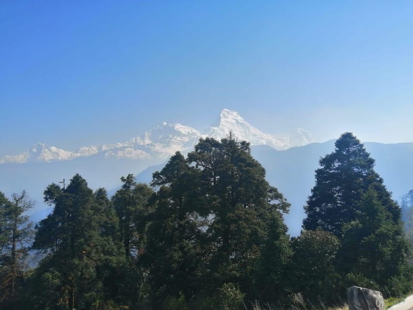 1 Night 2 days Poon hill trek from pokhara photo 5
