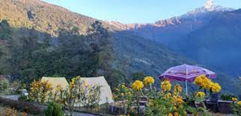From Pokhara Budget: 5 day Mardi Himal Base Camp trek photo 3