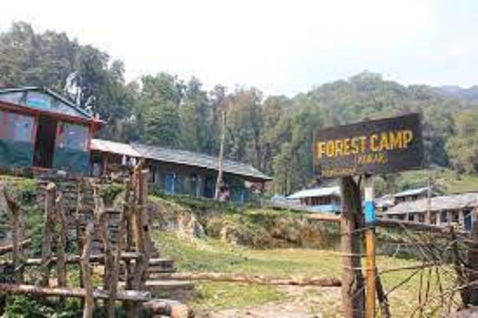 From Pokhara Budget: 5 day Mardi Himal Base Camp trek photo 4