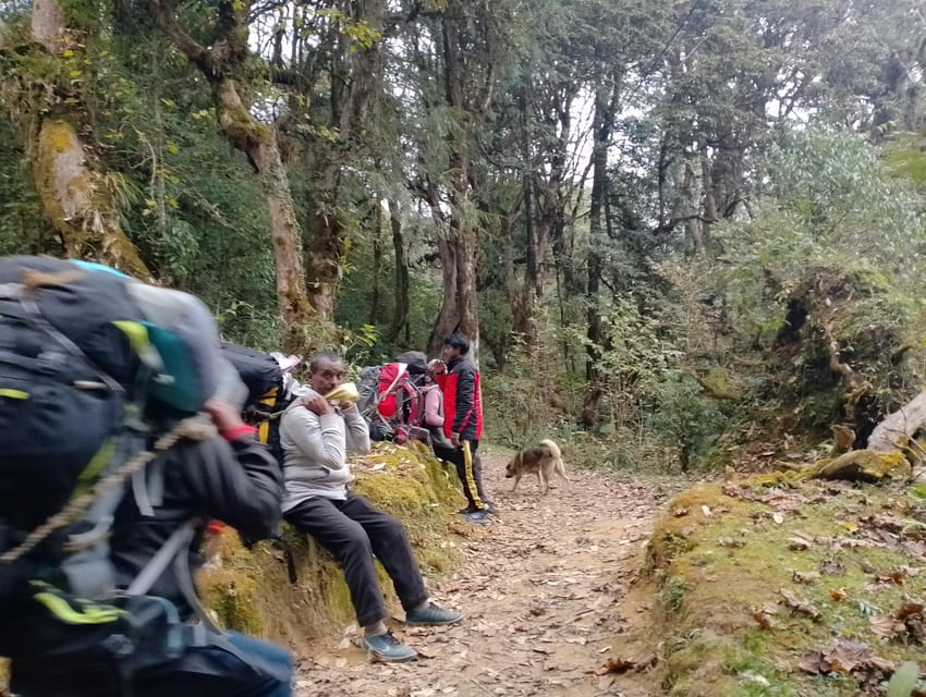 From Pokhara: Budget 2 Night 3 days Poon hill trek photo 5