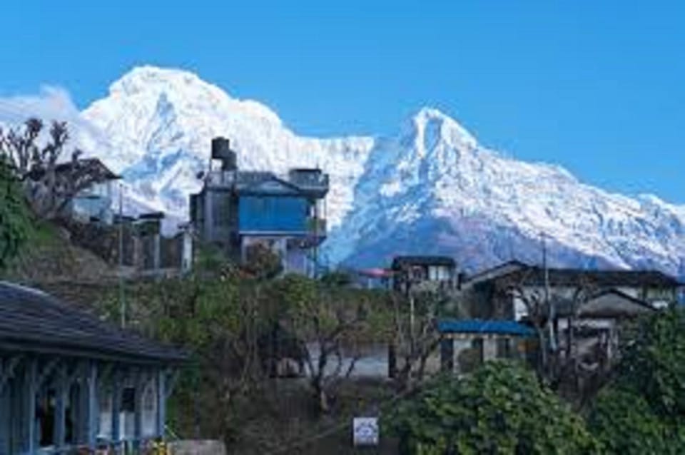 From Pokhara: 1 Night 2 day Ghandruk Tour by 4w jeep photo 5