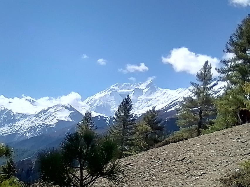 12 Day Annapurna Circuit Trek from Pokhara or Kathmandu photo 2