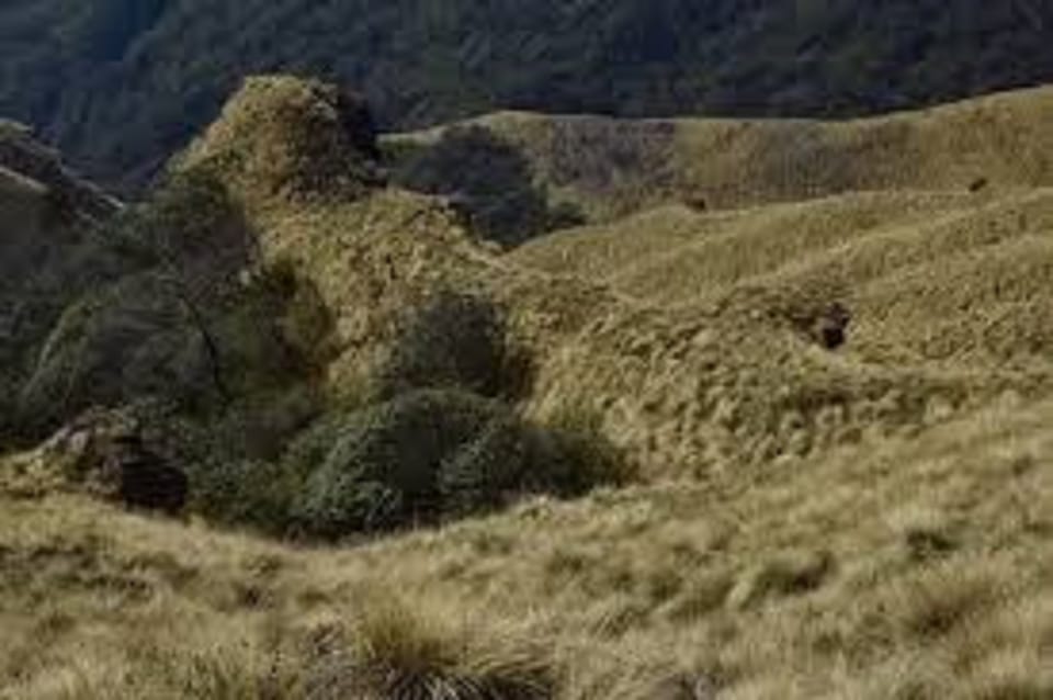 From Pokhara: 2 Night 3 Day Amazing Khumai Danda Trek photo 5