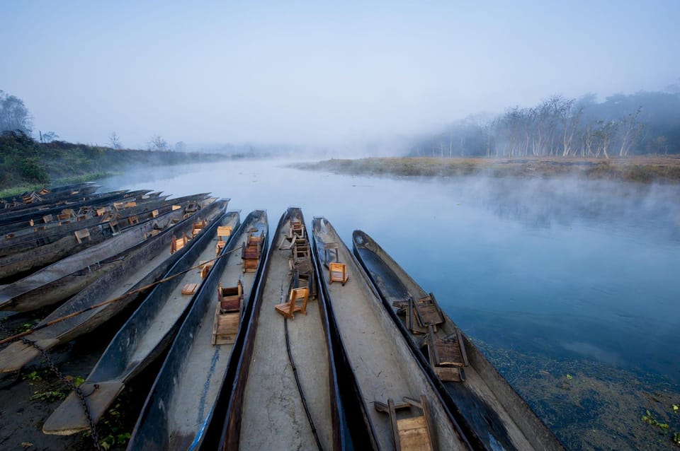 Chitwan: Jungle Safari Tour with Canoe Ride in Forest River photo 4