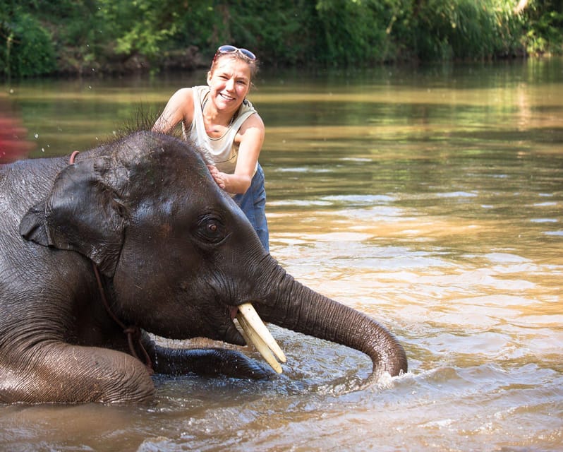 luxury Chitwan Jungle safari 4 days tour photo 2