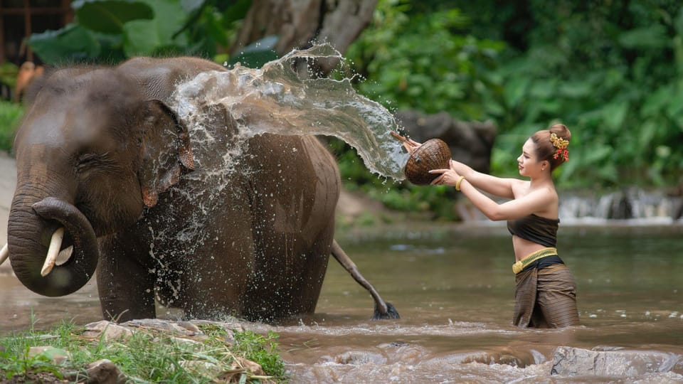luxury Chitwan Jungle safari 4 days tour photo 4