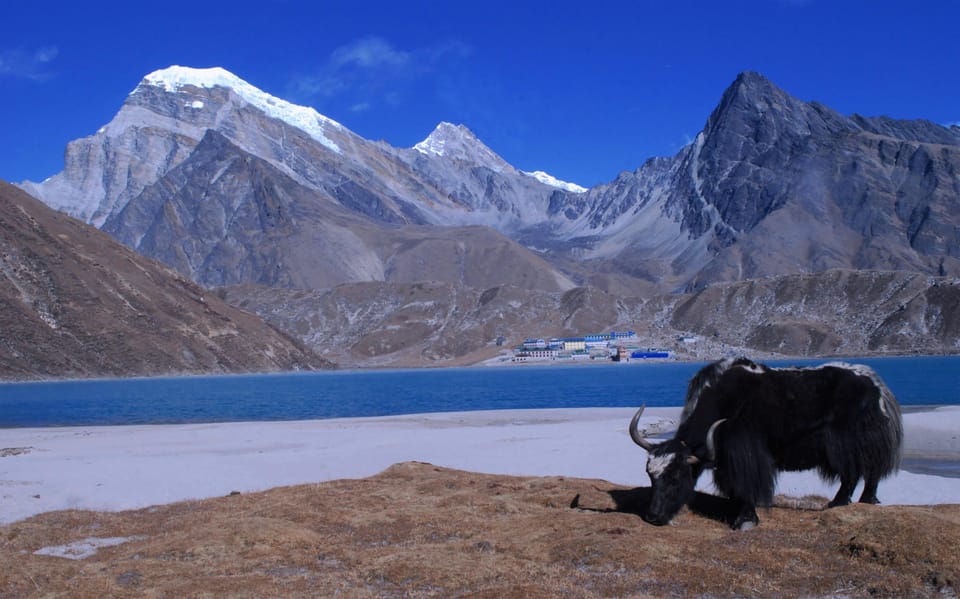Everest Base Camp Trek with Gokyo Lakes - 16-Day Adventure photo 2