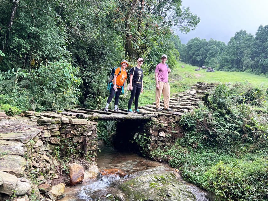 From Pokhara: Australian Camp & Dhampus 1, or 2-Day Trek photo 2
