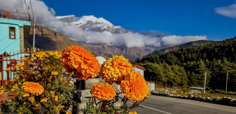 Pokhara: Amazing Day Hiking, Boating /Sunrise view tour photo 5