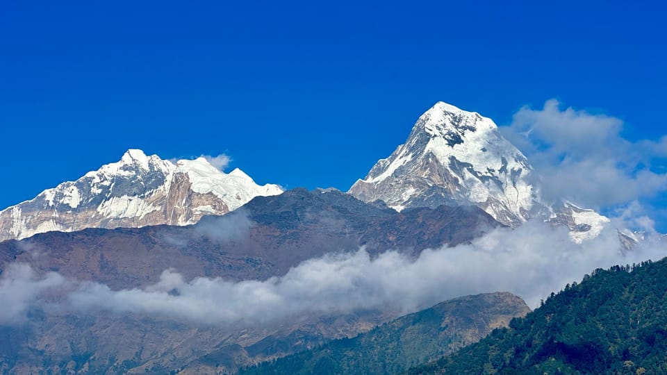 Pokhara: 1-Day Scenic Australian Camp & Dhampus Guided Hike photo 2