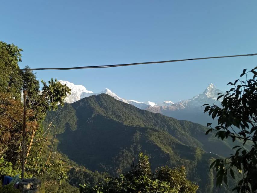 1 N 2 Days easy Dhampus,Australian camp trek from Pokhara photo 5