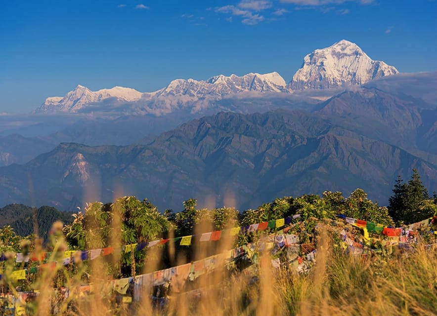 Pokhara: 2-Day Short & Sweet Ghorepani Poon Hill Guided Trek photo 4